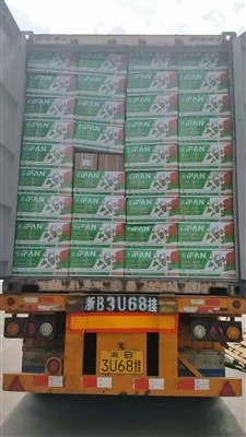 Ifan Container